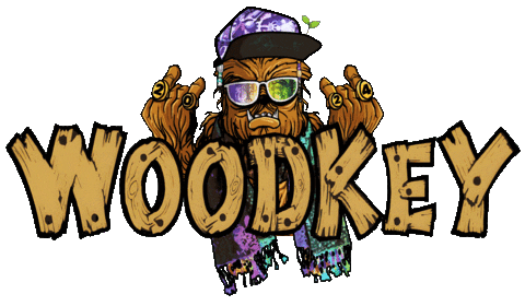 Woodkey Fest, Caronsville Michigan